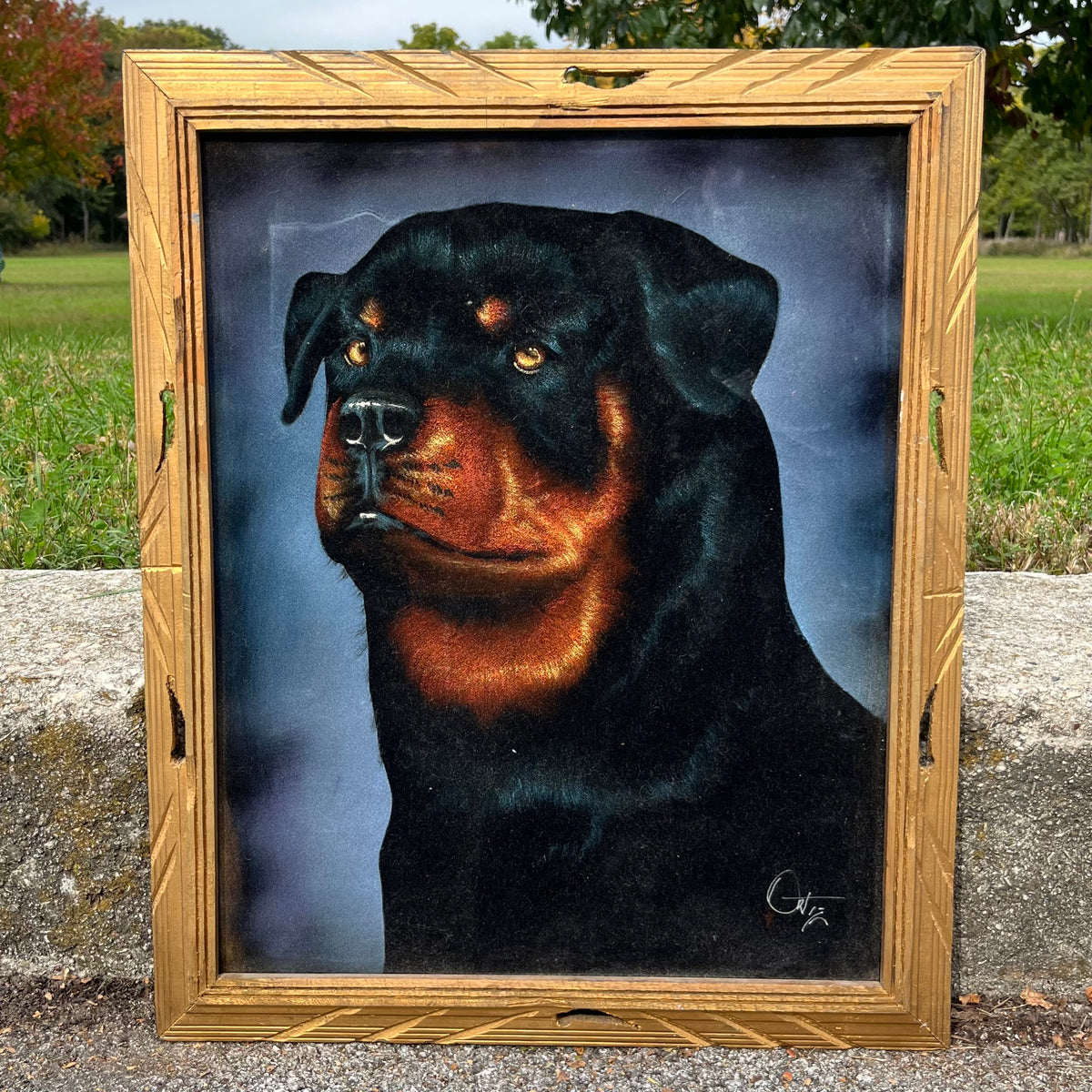 Vintage black velvet Rottweiler painting.