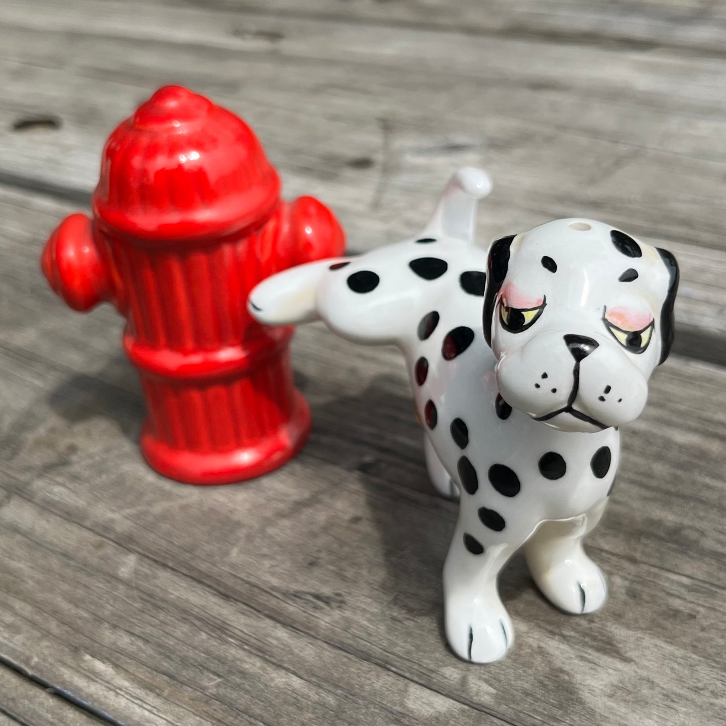 Vintage naughty pup salt n’ pepper shakers.