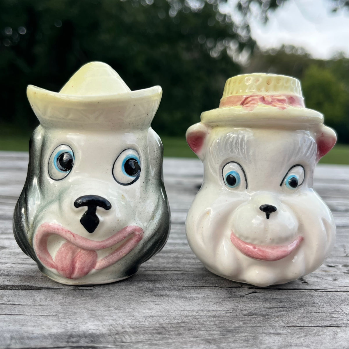 1950s Salt n’ Pepper bears.