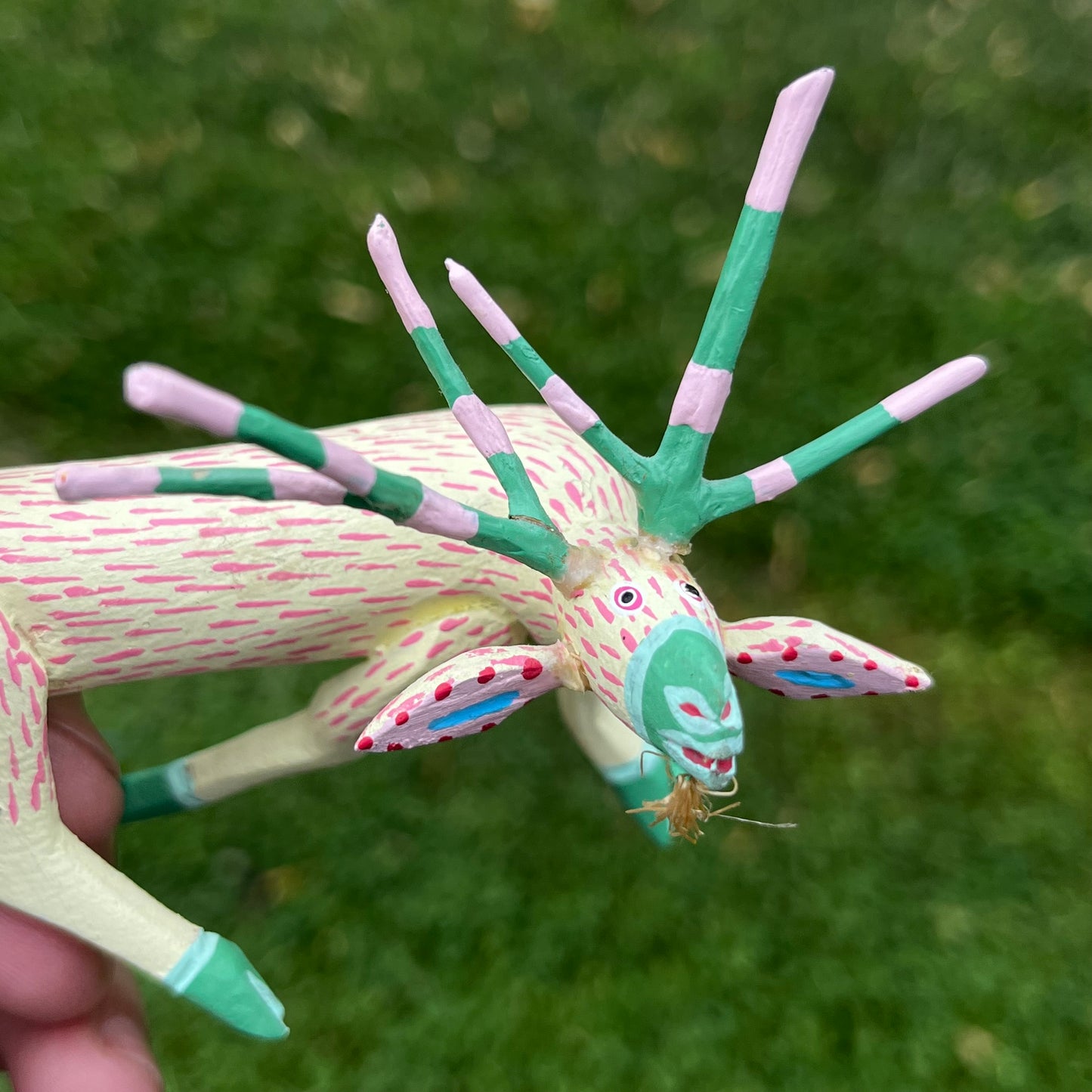 90s hand crafted Oaxacan goat.