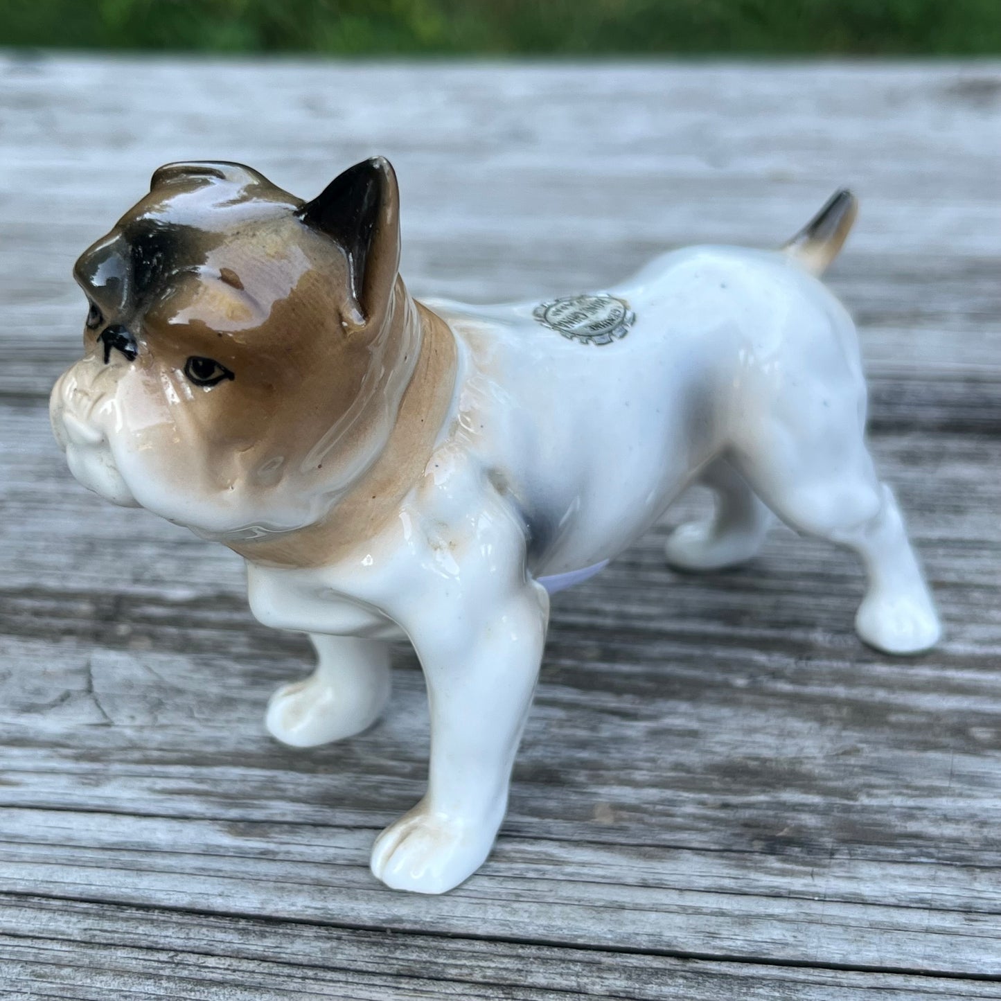 Vintage ceramic bulldog.