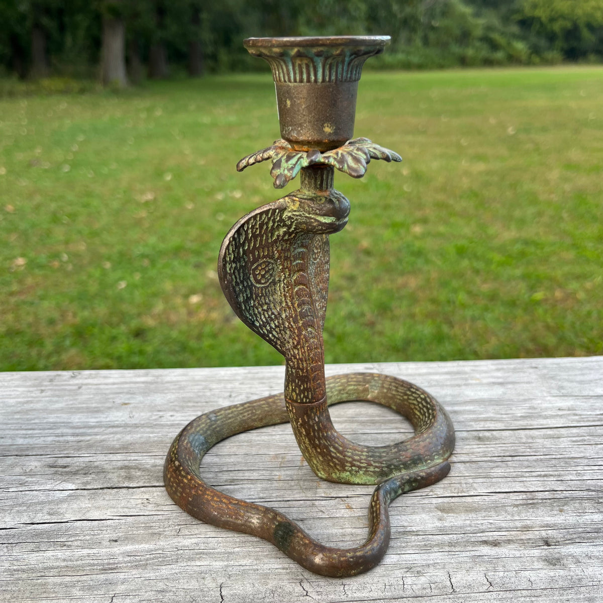 Vintage bronze cobra candle holder.