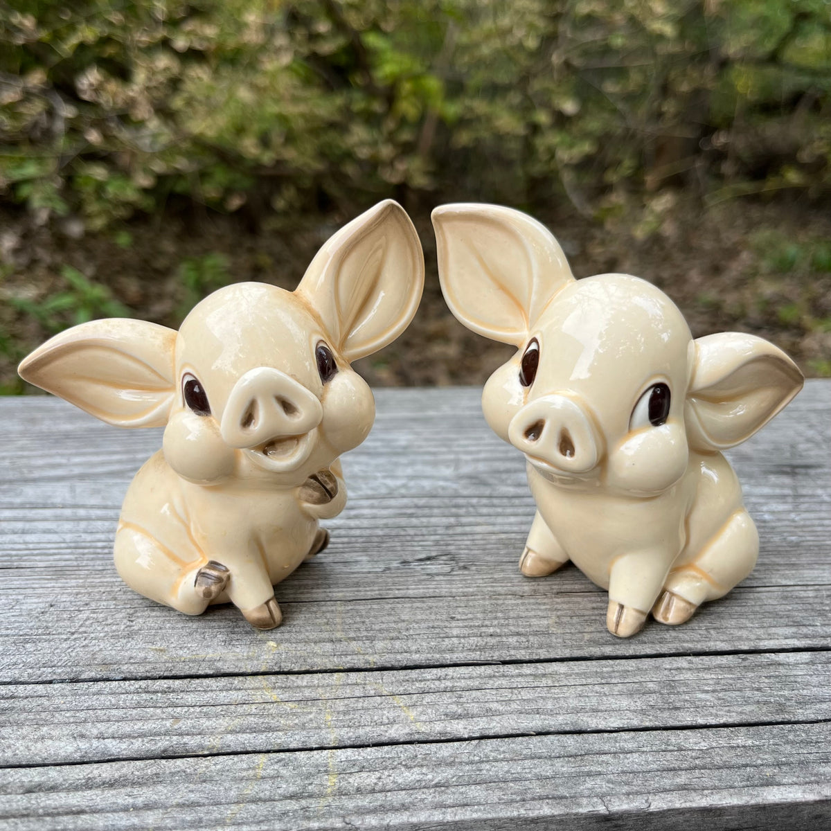 Vintage piglet salt n’ pepper shakers.