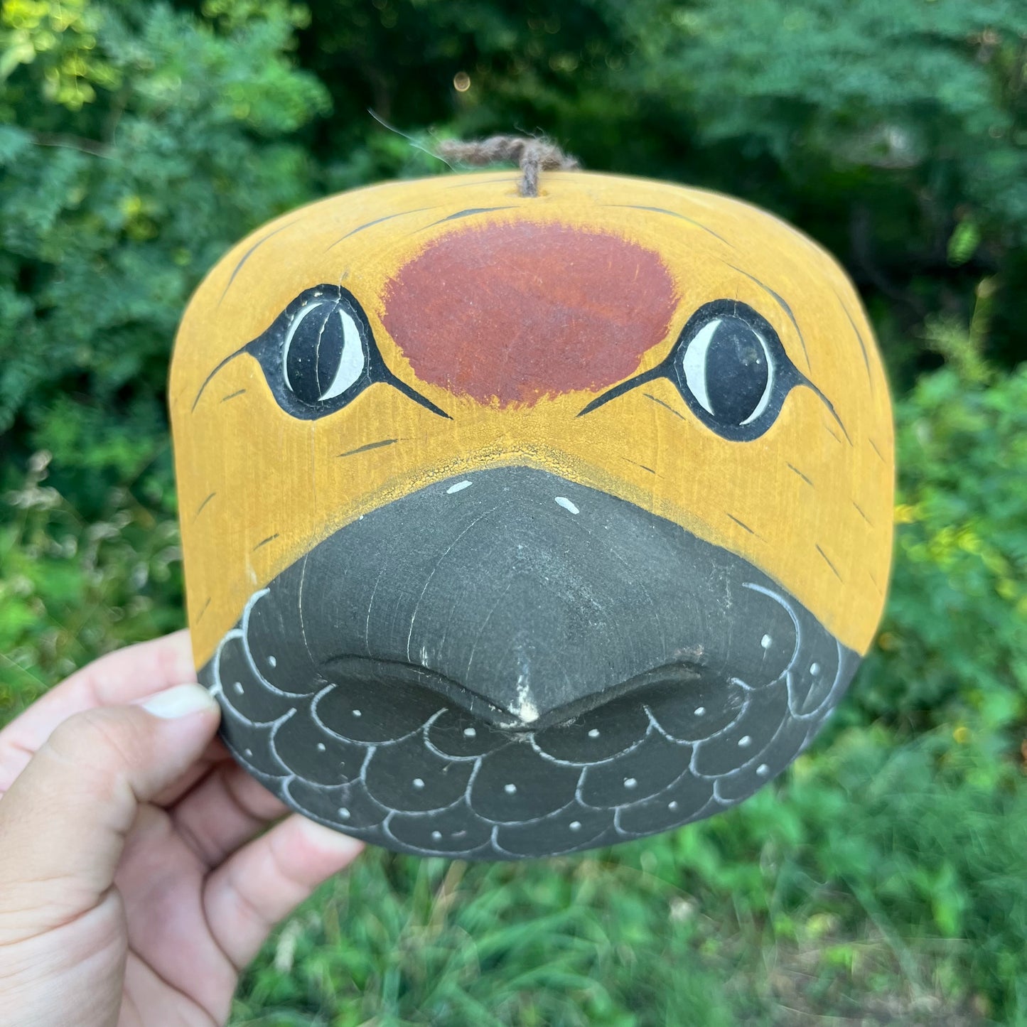 Vintage Argentinian Chané bird mask.