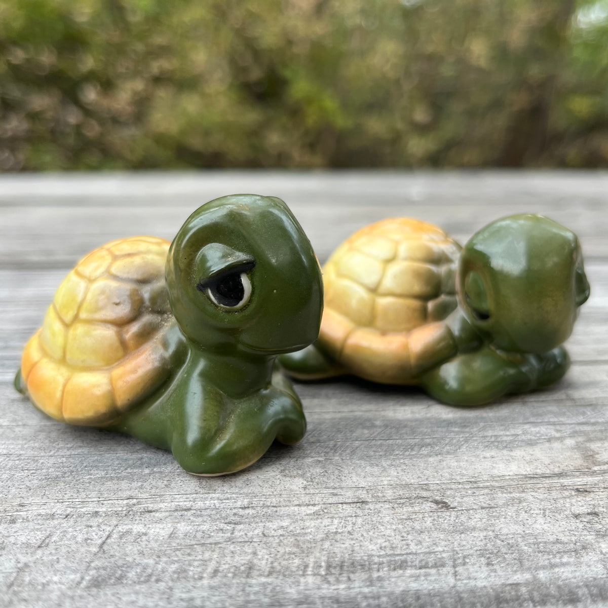 Vintage Turtle salt n’ pepper shakers.