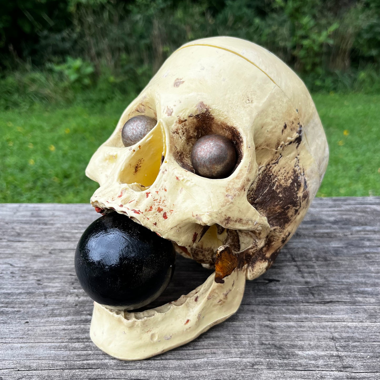 Vintage modified plastic medical skull.