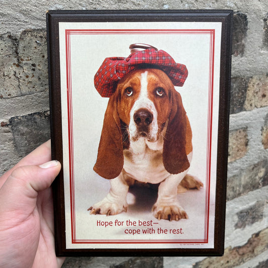 1980s “Hope for the best, cope with the rest” plaque.