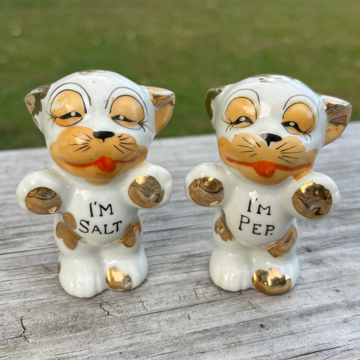Vintage Bonzo salt n’ pepper shakers.
