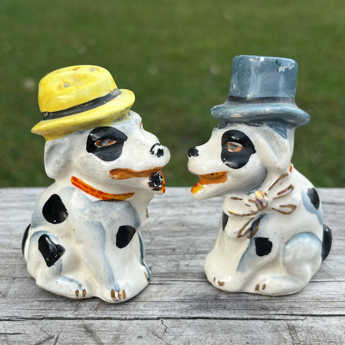 1950s Salt n’ Pepper pups.