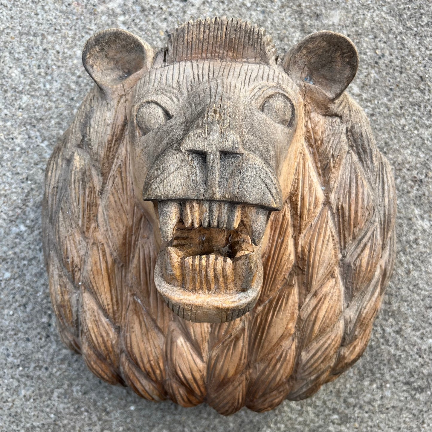 Vintage hand carved wooden growling lion.