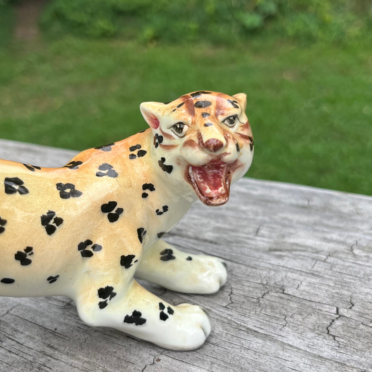 Vintage Italian leopard.
