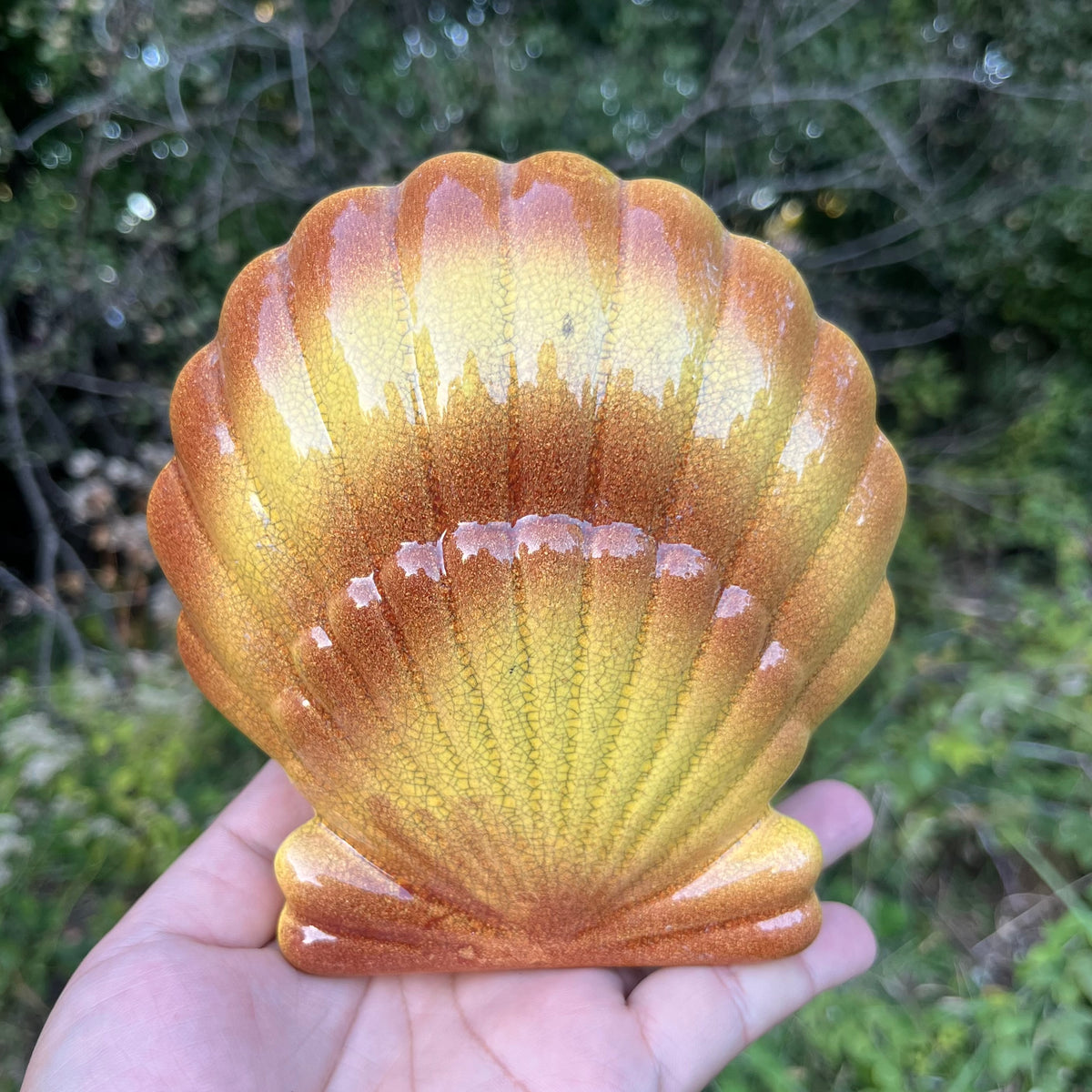 Vintage Seashell wall pocket.