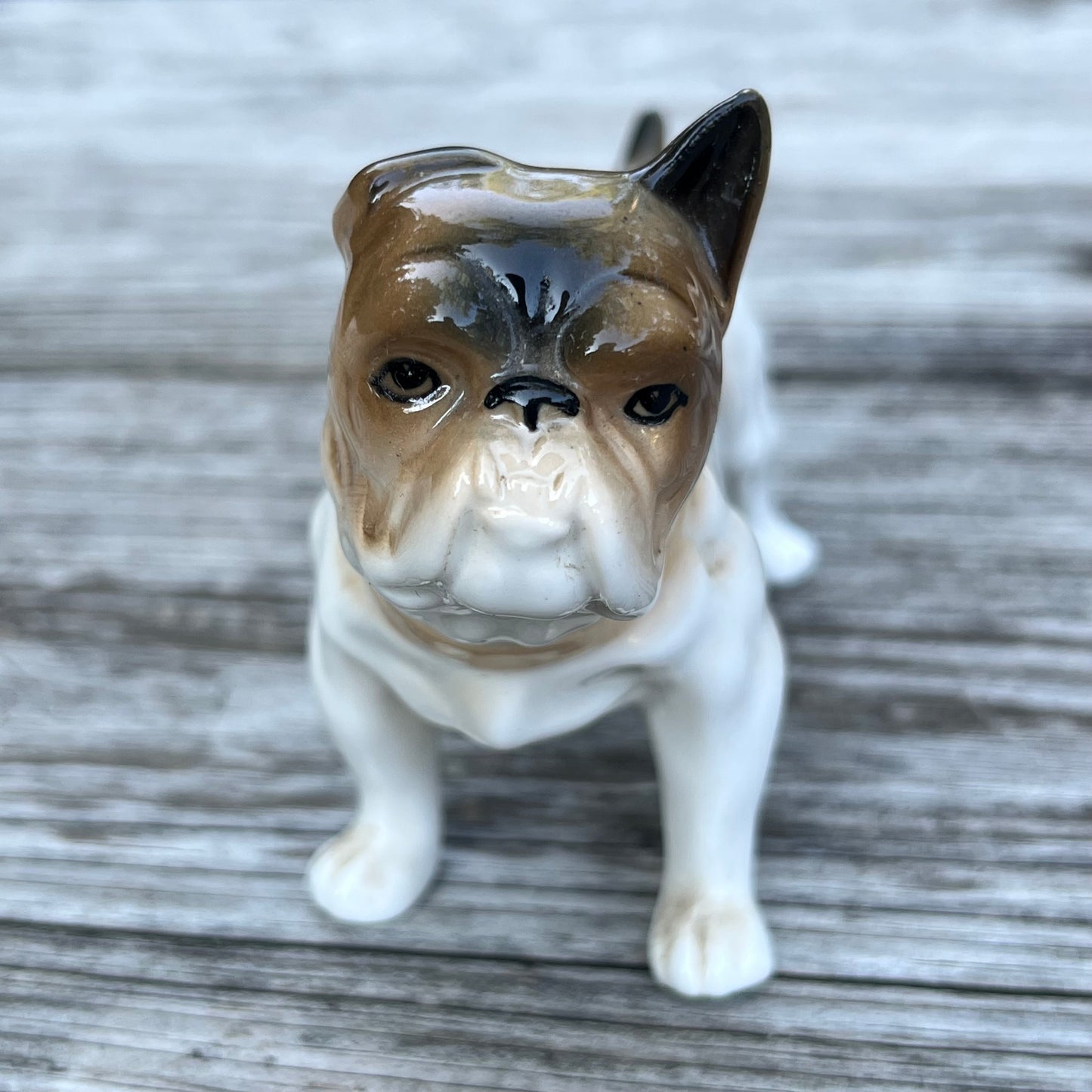 Vintage ceramic bulldog.