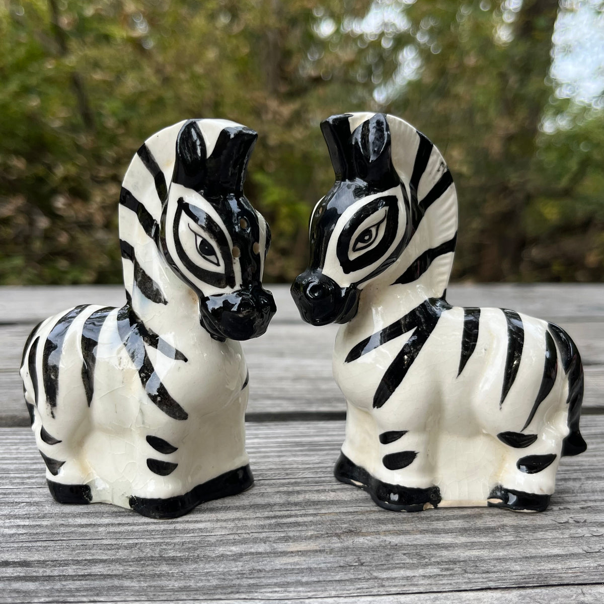 Vintage Zebra salt n’ pepper shakers.