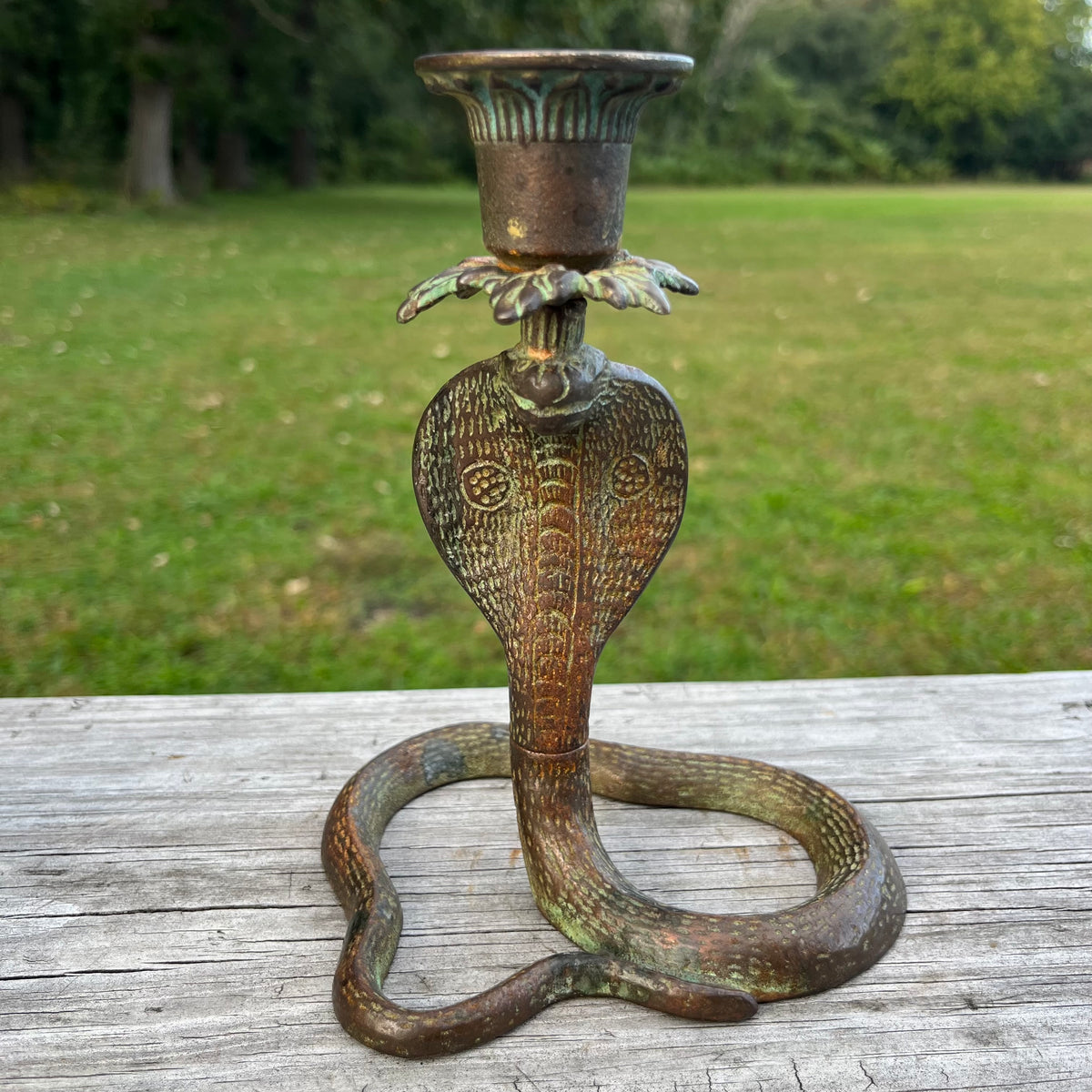 Vintage bronze cobra candle holder.