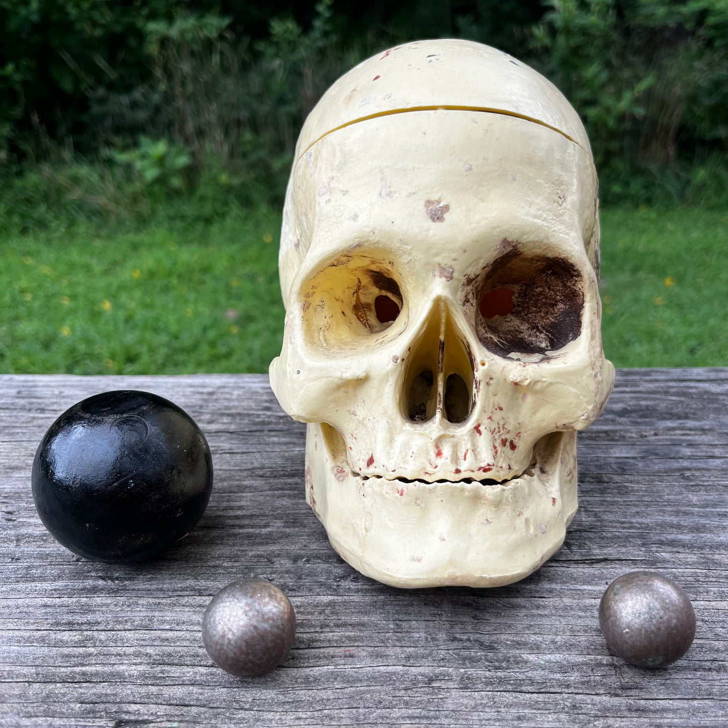 Vintage modified plastic medical skull.