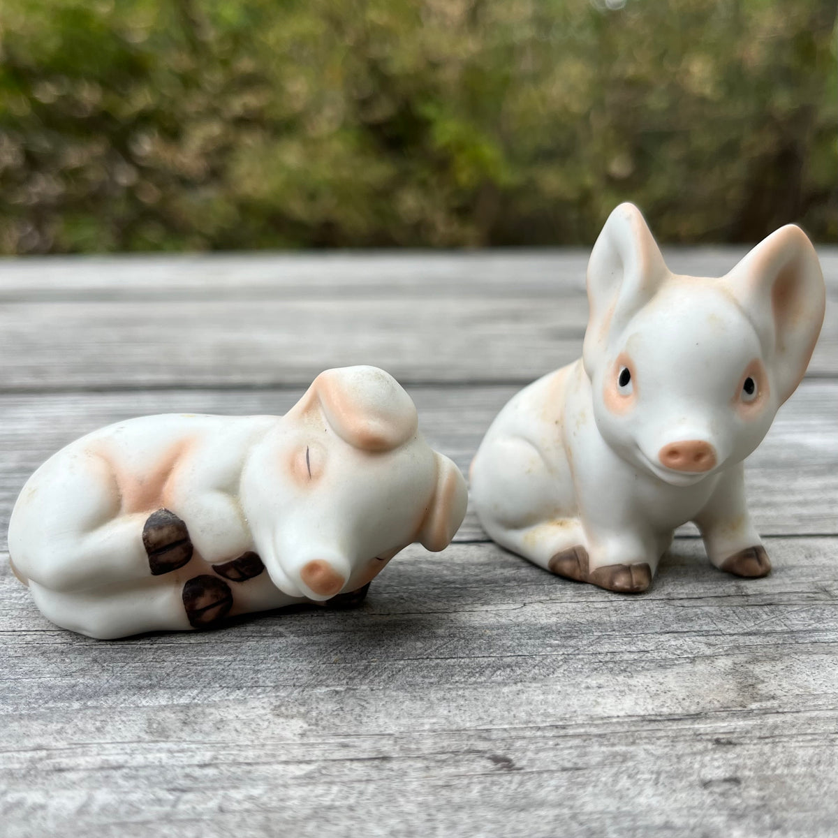 Vintage bisque piglet salt n’ pepper shakers.
