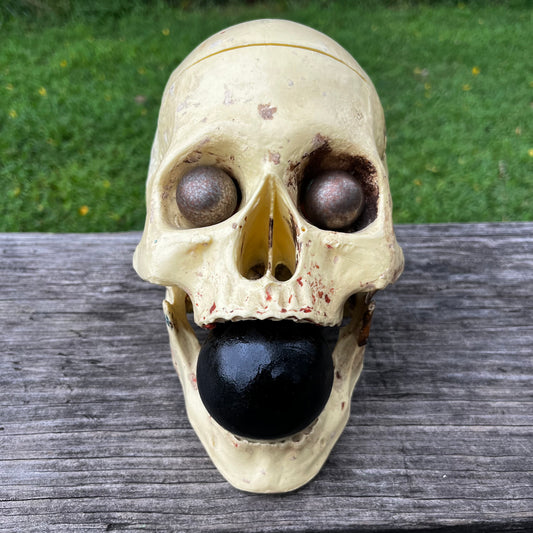 Vintage modified plastic medical skull.