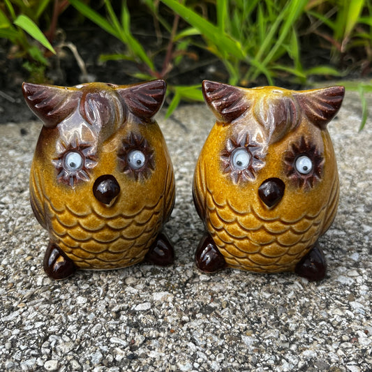 1950s Wise owl salt n’ pepper shakers.