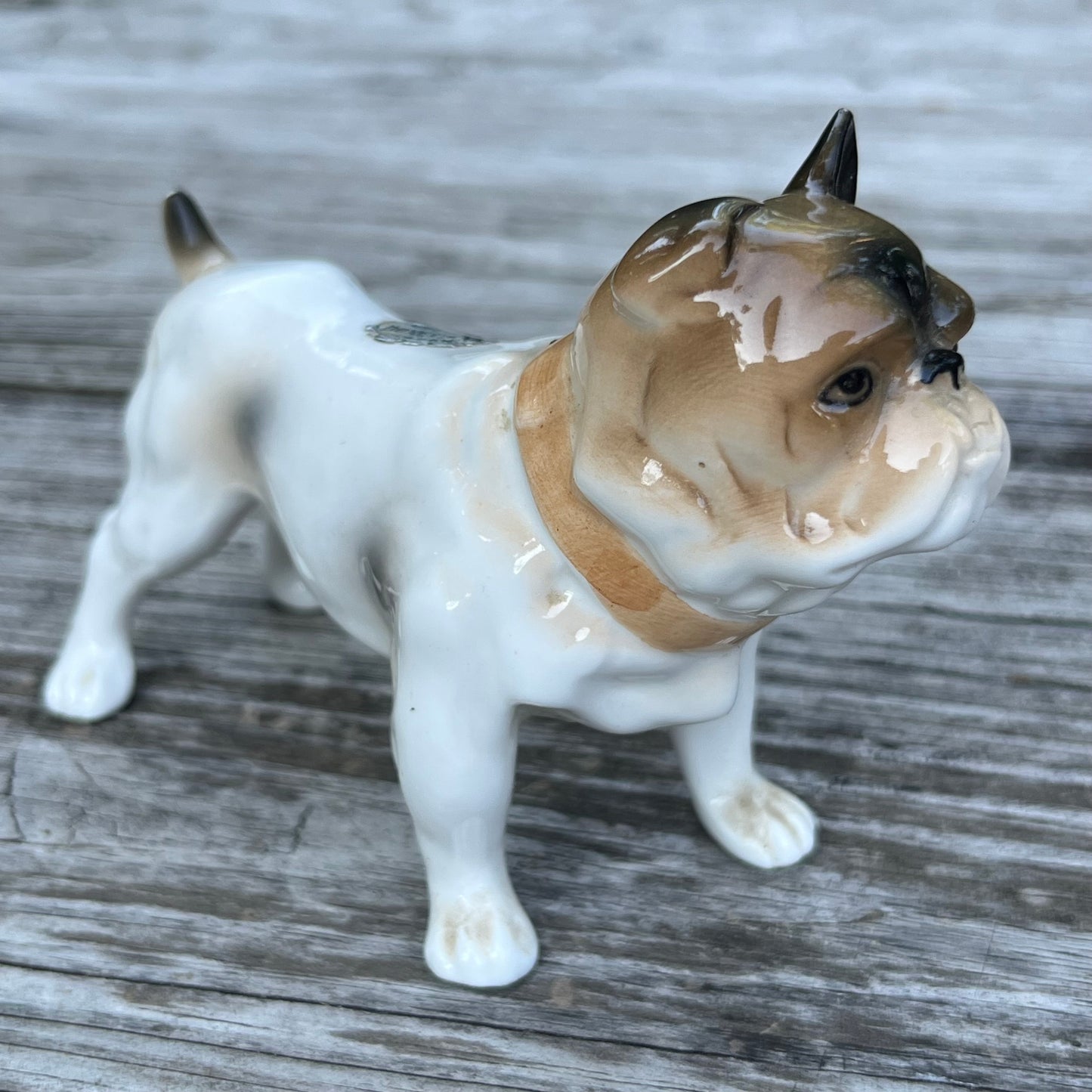 Vintage ceramic bulldog.