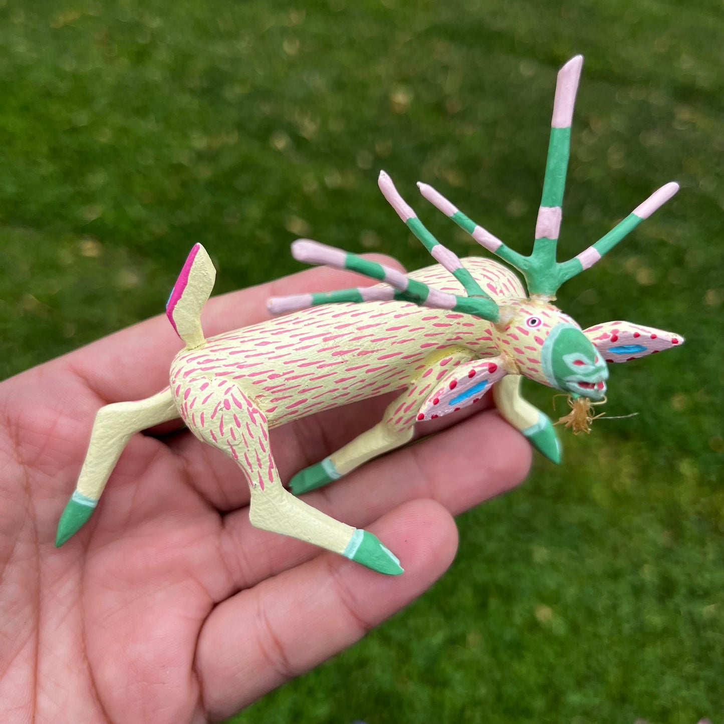 90s hand crafted Oaxacan goat.