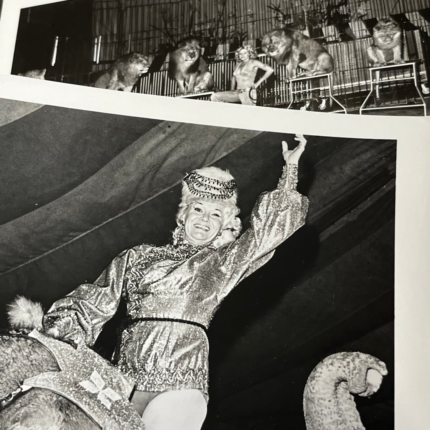 Set of five 1970s Circus photos. (Dealers choice)