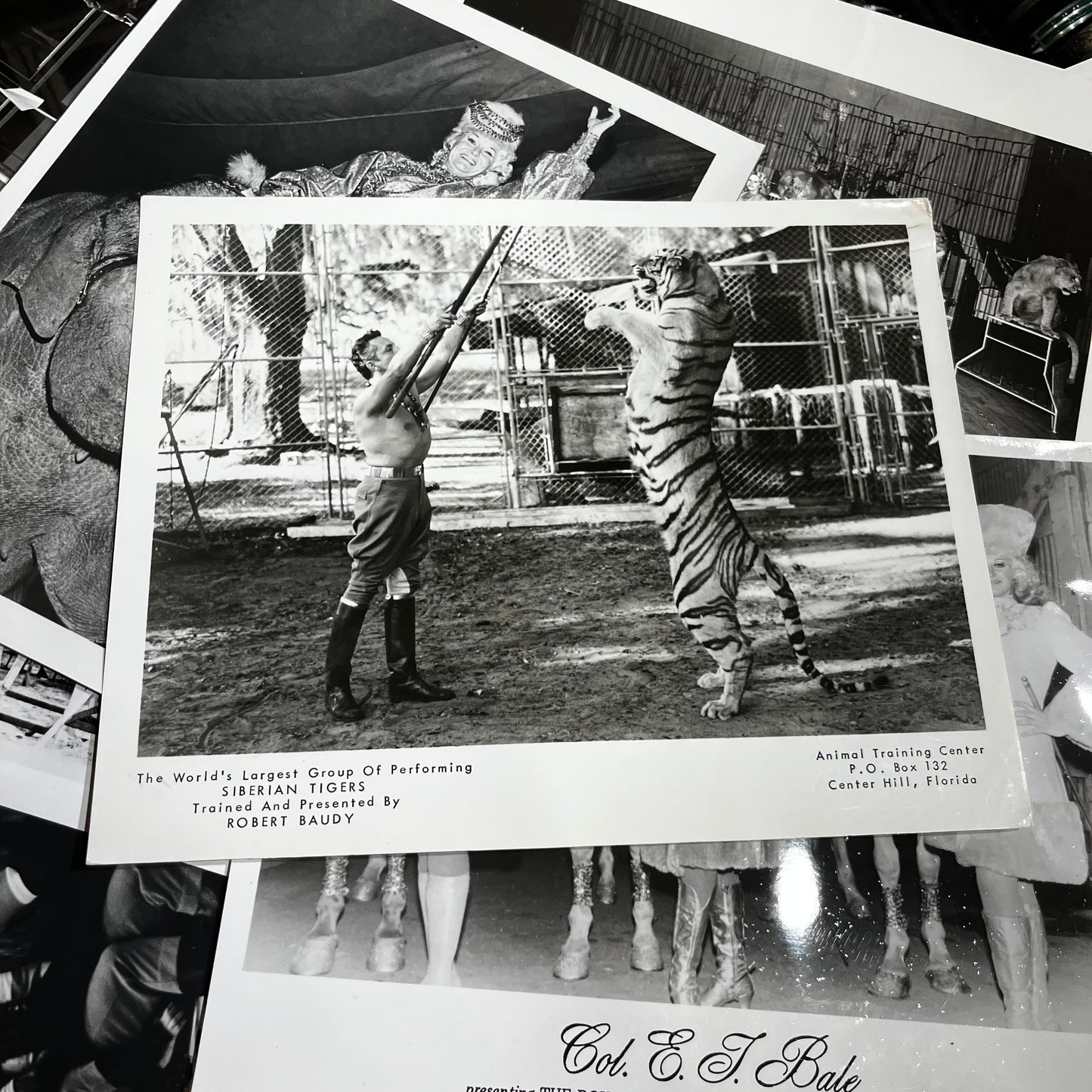 Set of five 1970s Circus photos. (Dealers choice)