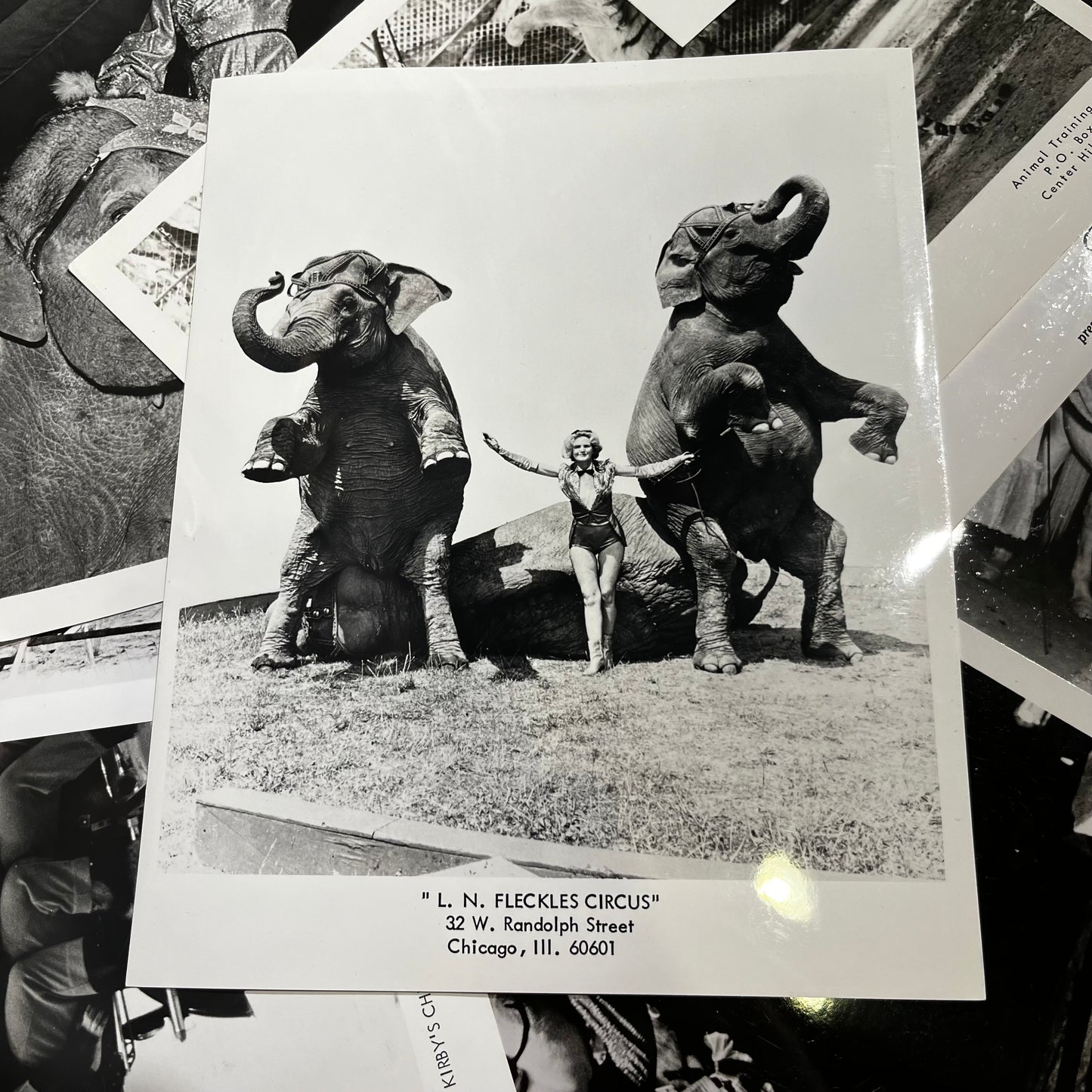Set of five 1970s Circus photos. (Dealers choice)