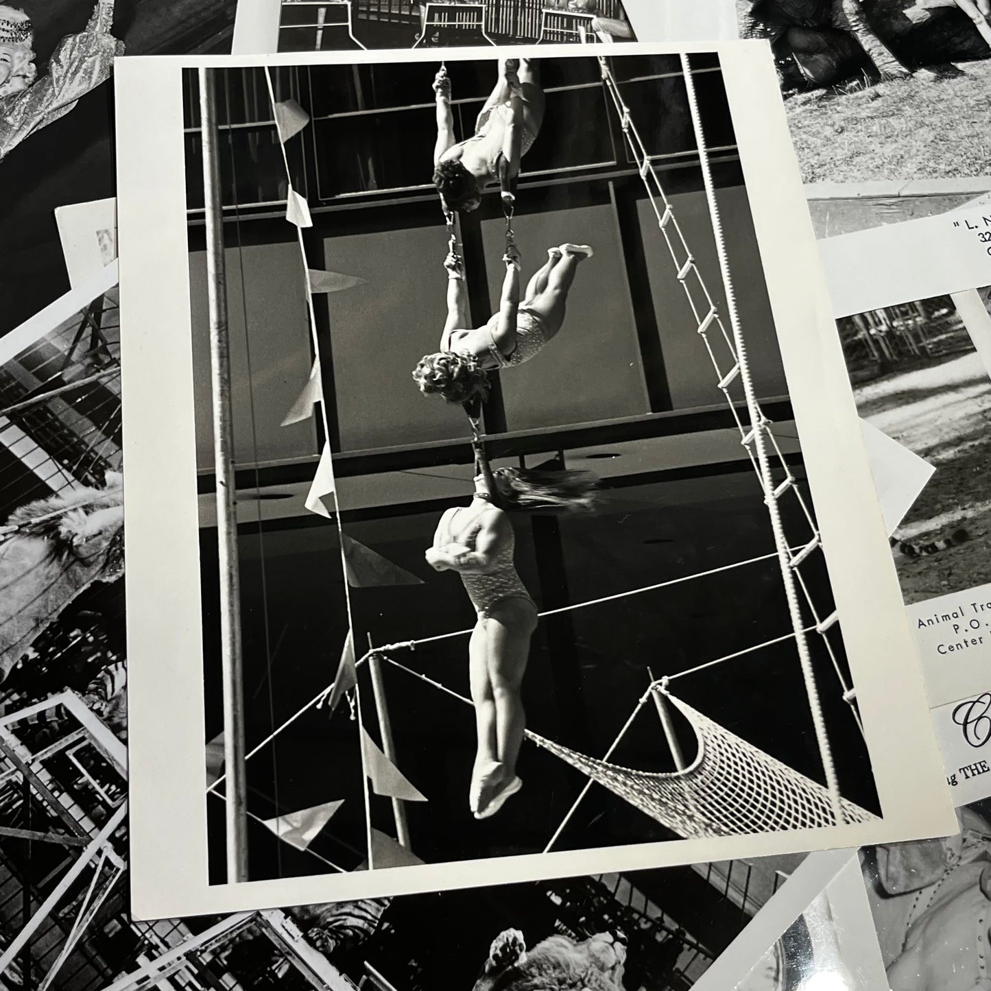 Set of five 1970s Circus photos. (Dealers choice)