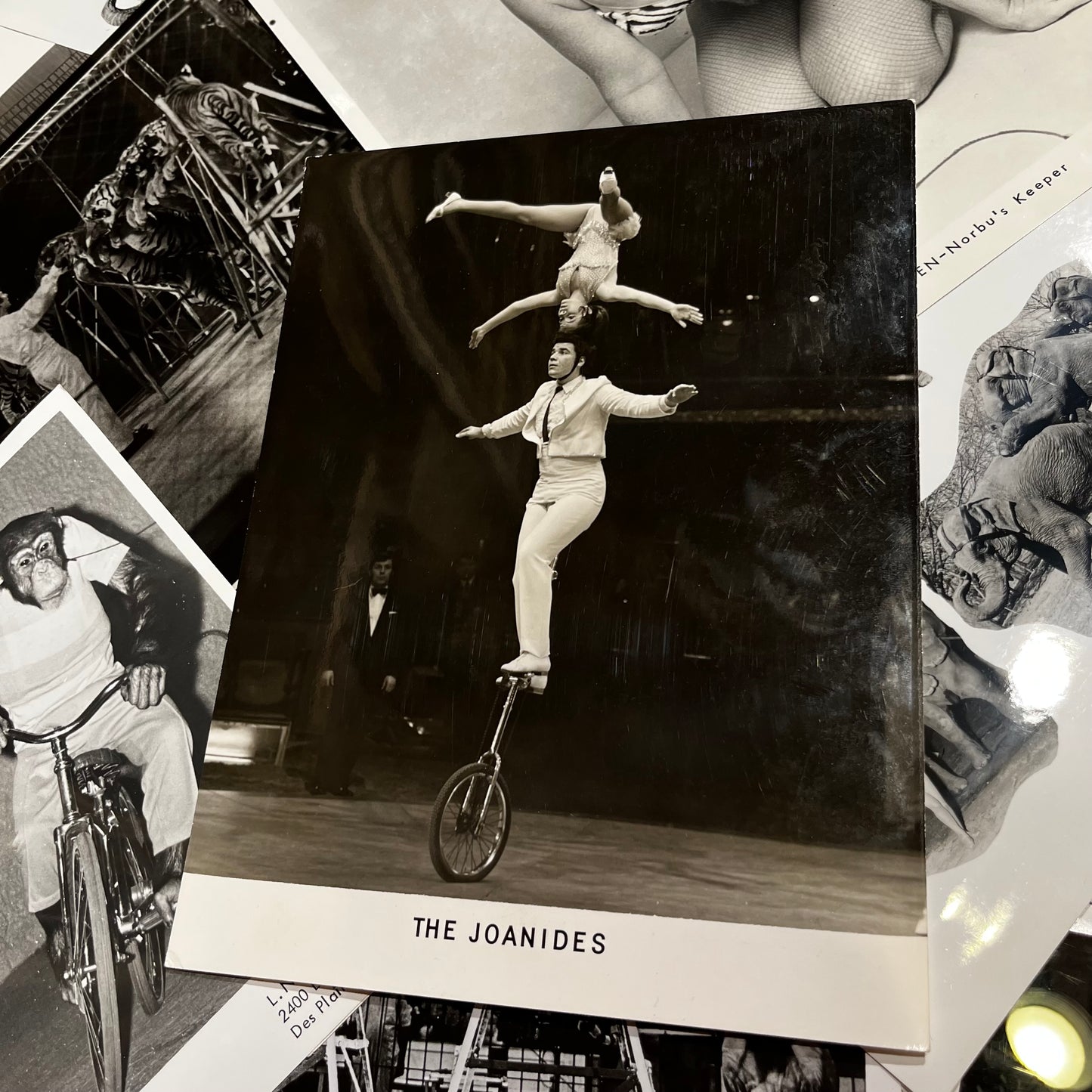 Set of five 1970s Circus photos. (Dealers choice)