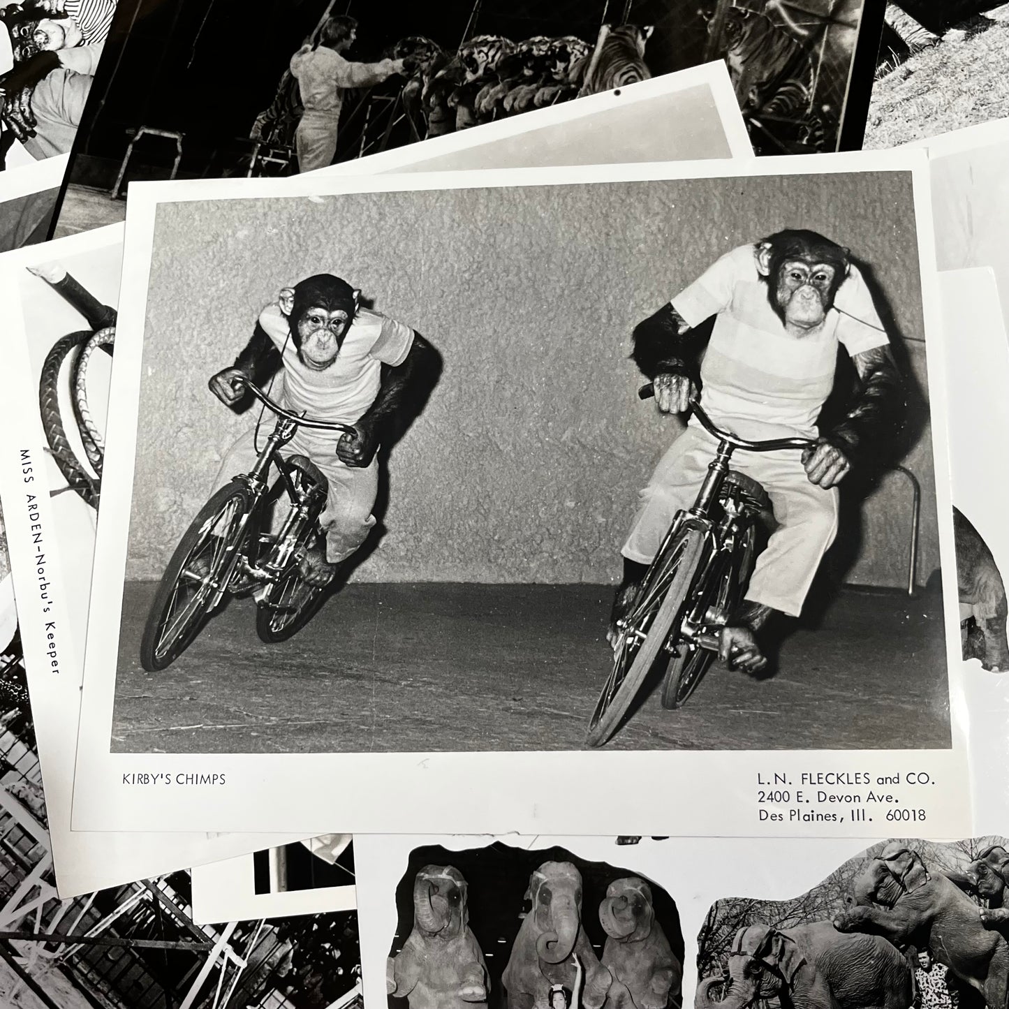 Set of five 1970s Circus photos. (Dealers choice)