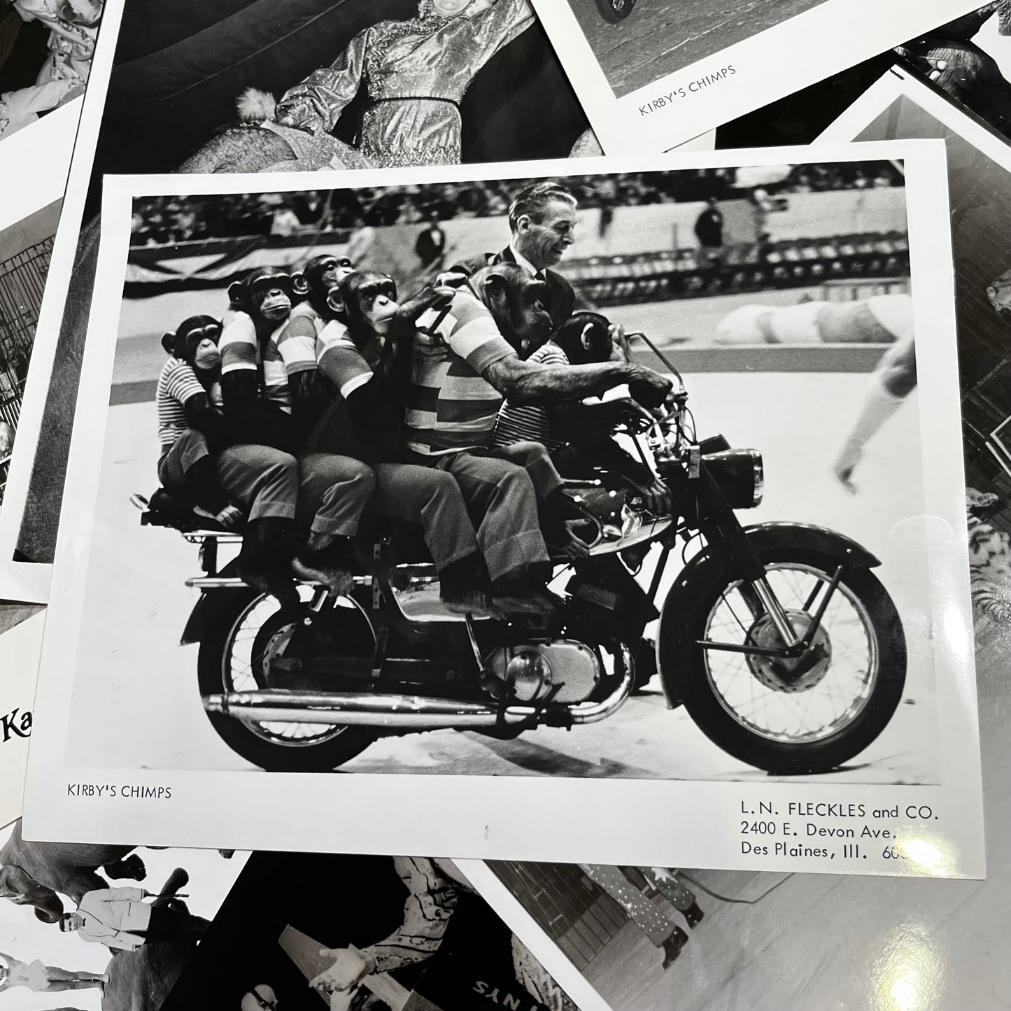 Set of five 1970s Circus photos. (Dealers choice)