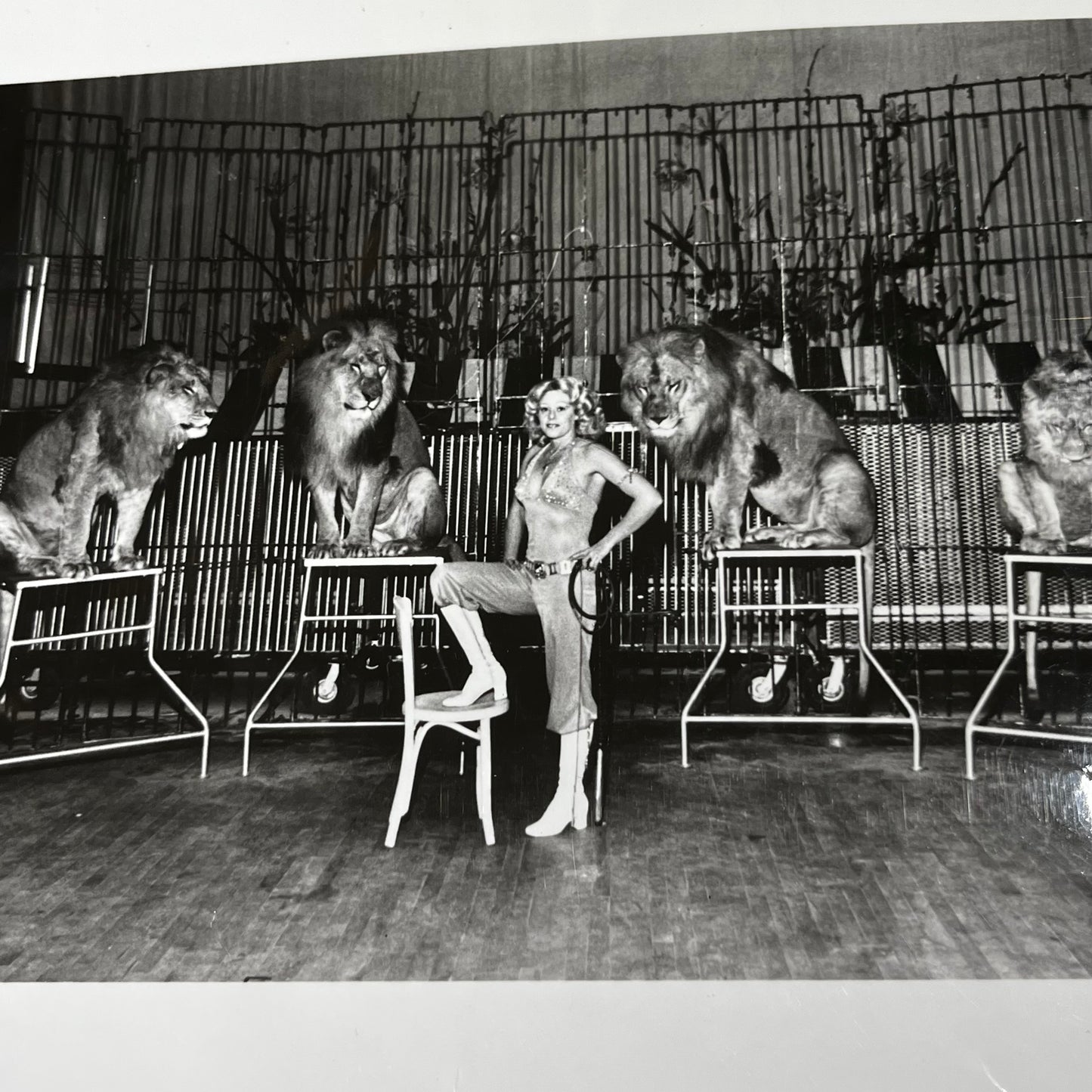 Set of five 1970s Circus photos. (Dealers choice)
