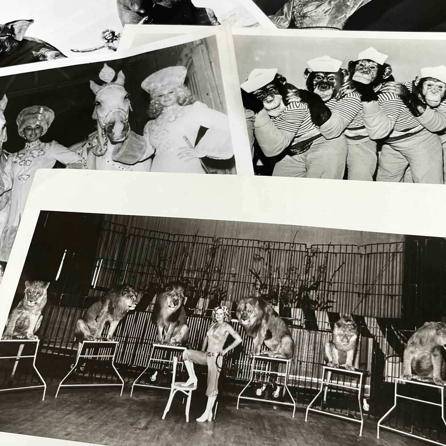 Set of five 1970s Circus photos. (Dealers choice)