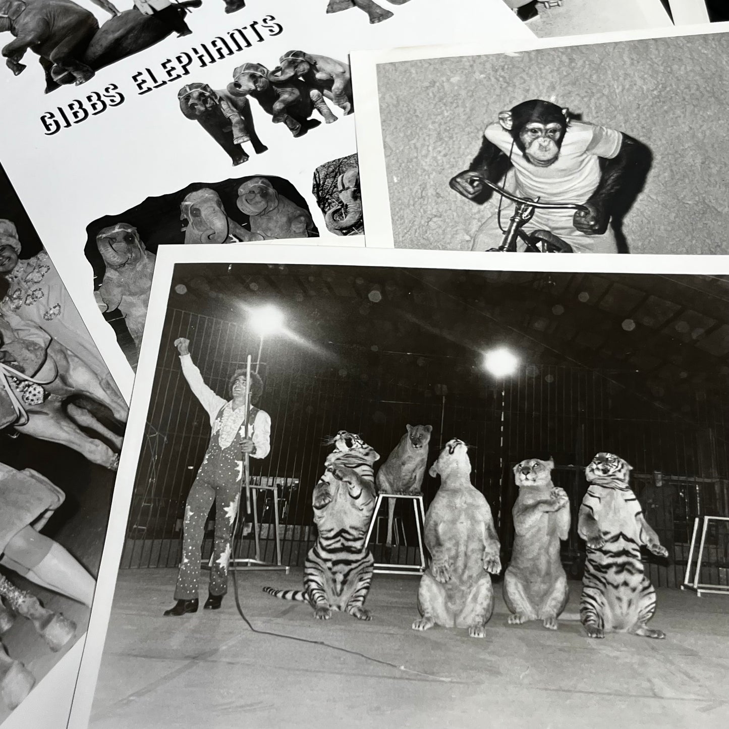 Set of five 1970s Circus photos. (Dealers choice)