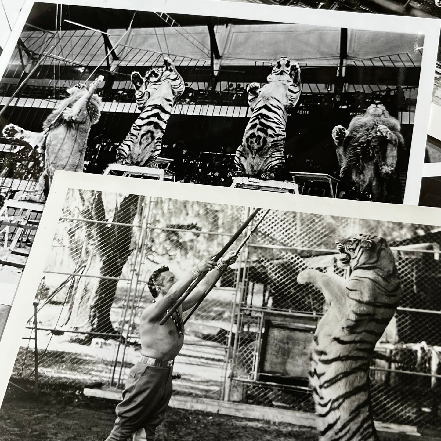 Set of five 1970s Circus photos. (Dealers choice)