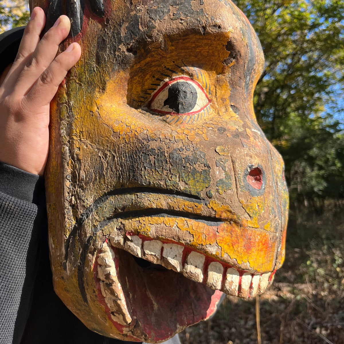 1950s Cermonial Jaguar mask.