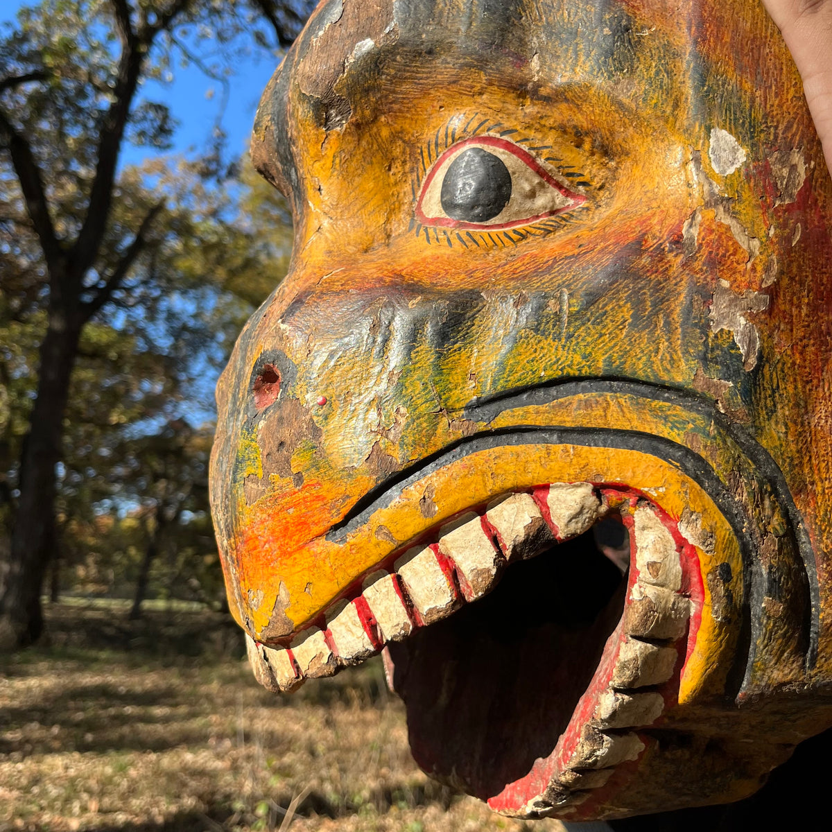 1950s Cermonial Jaguar mask.